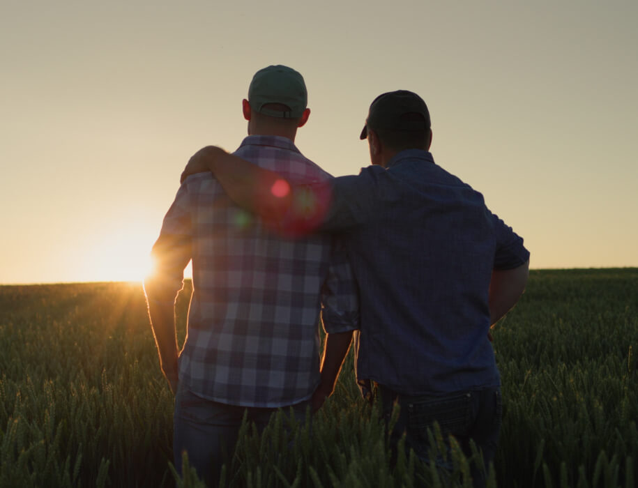 two farmers looking over a field of crops with the sun setting in the background