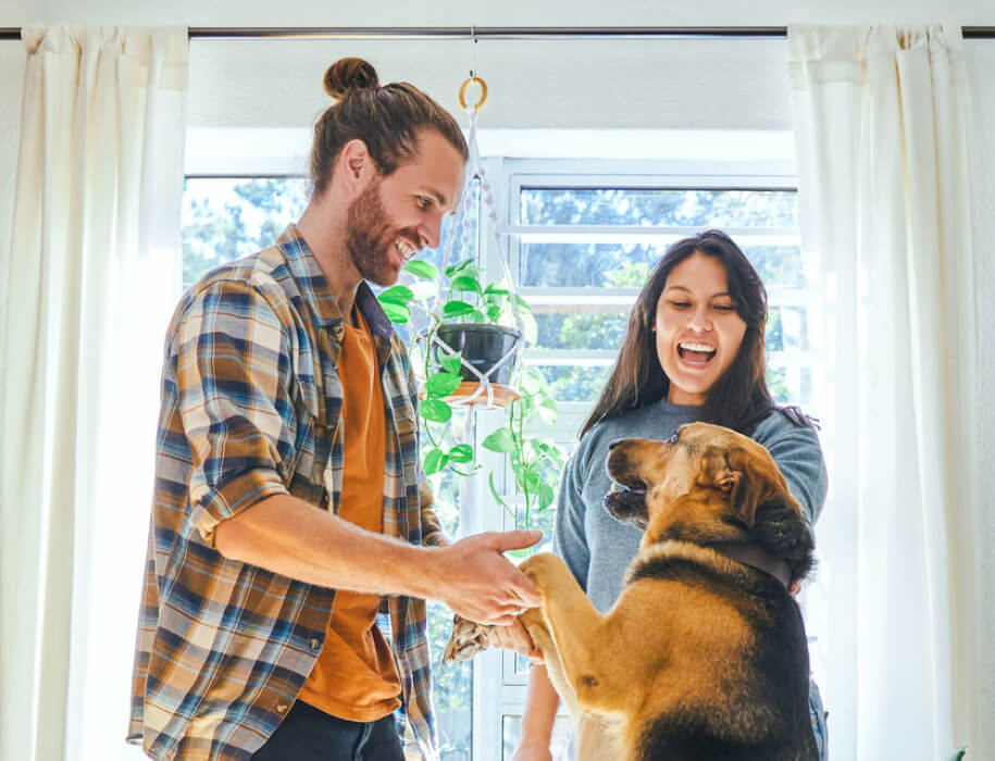 young couple and german shepherd dog playing in a living room